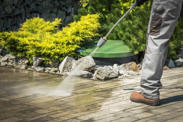 Best Animal Enclosure Cleaning  in Crystal Lake, CT